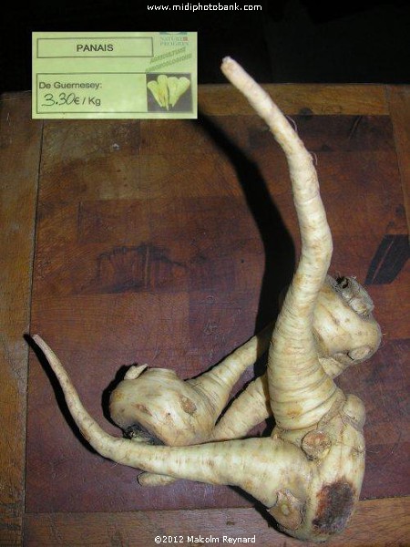 Guernsey Parsnips