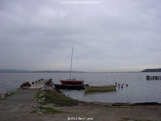 Etang de Bages 