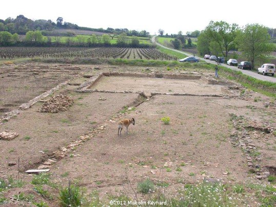 The oldest “Wine Domaine” in France