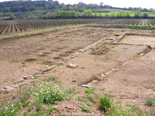 The oldest “Wine Domaine” in France