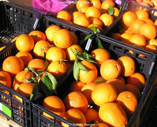 Midwinter  Fruit Crop - Béziers