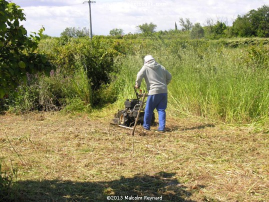 Living in France - The Advantages !