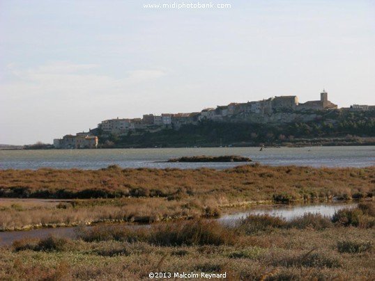 Etang de Bages, just south of Narbonne