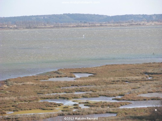 Etang de Bages, just south of Narbonne