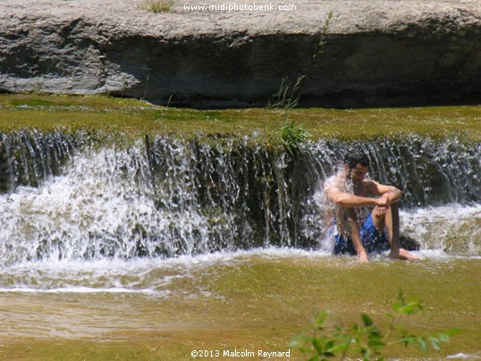 Idyllic Summer