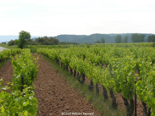 Thézan-des-Corbières - first sight of the Corbières Hills