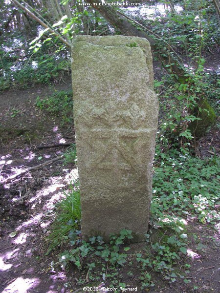 Montagne Noir - a Walk in the Woods