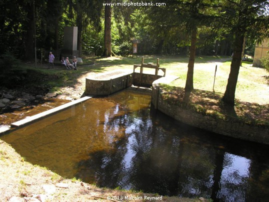 Montagne Noir - a Walk in the Woods