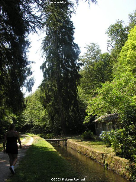 Montagne Noir - a Walk in the Woods