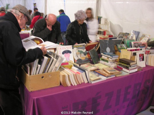 Les Allées du Livres - Book Fair