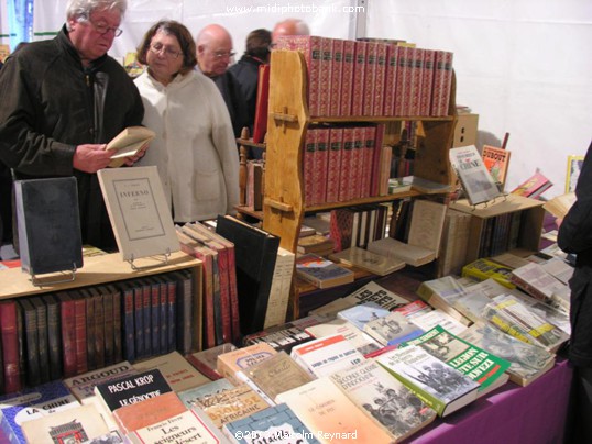 Les Allées du Livres - Book Fair