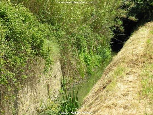 A Walk around the Malpas Tunnel & the Etang de Montady