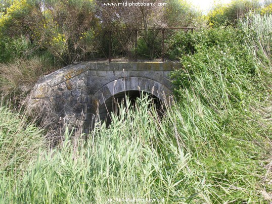 A Walk around the Malpas Tunnel & the Etang de Montady