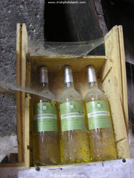 A Walk around the Malpas Tunnel & the Etang de Montady