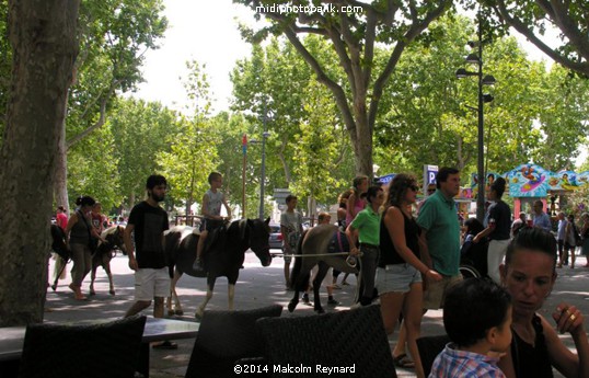 Equestrian Day in Béziers