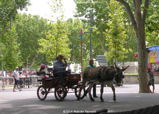 Equestrian Day in Béziers