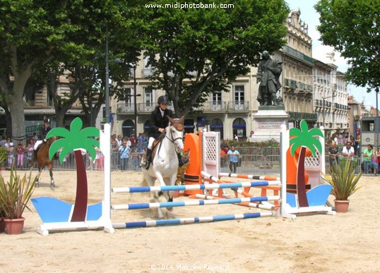 Equestrian Day in Béziers