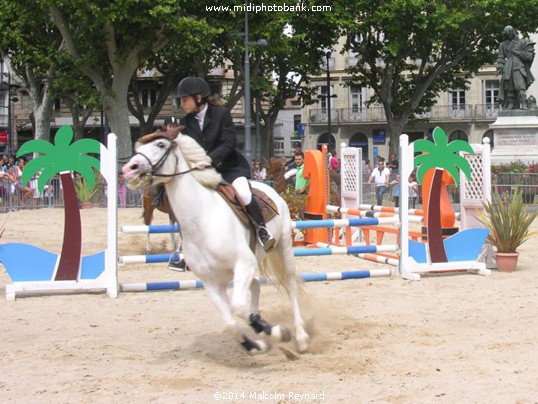 Equestrian Day in Béziers