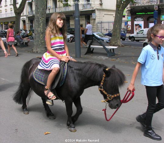 Equestrian Day in Béziers