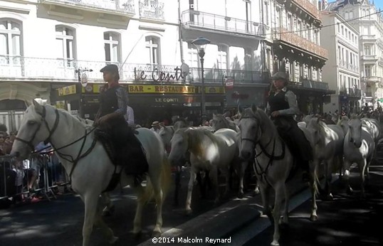 Béziers - Feria - 2014