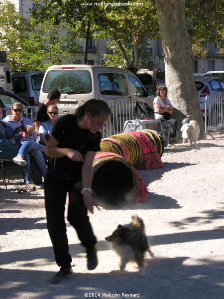 The "Day of the Associations" in Béziers