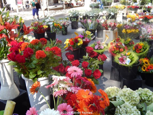 Béziers - Friday Flower Market