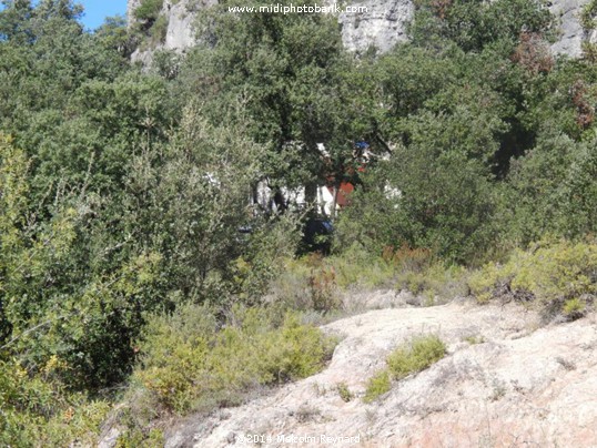 The Cirque de Mourèze