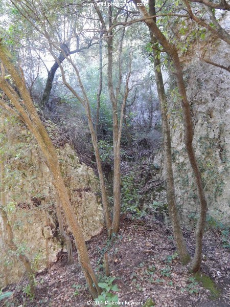 The Cirque de Mourèze - L'ami paradis 