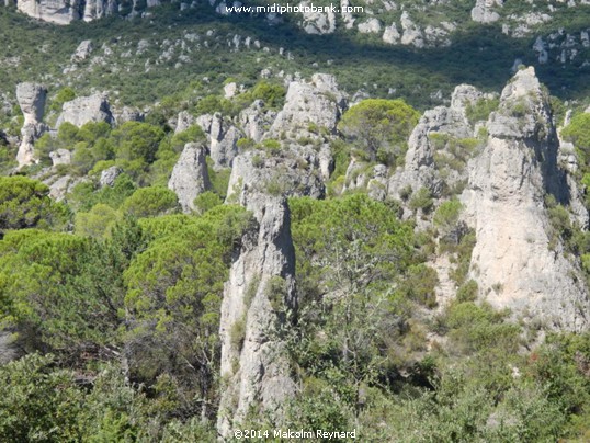 The Cirque de Mourèze - L'ami paradis 