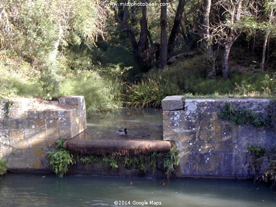 Midi Canal ― Wildlife