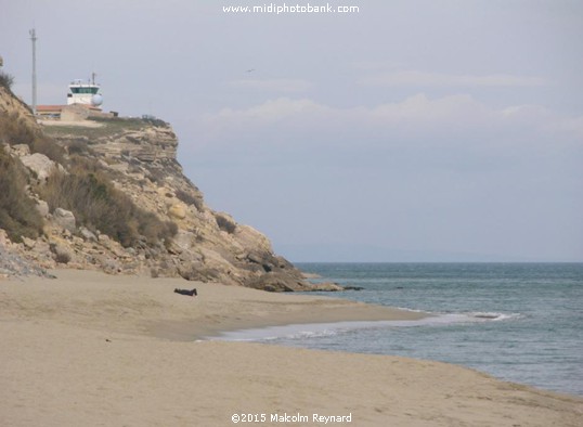 A January day on the Beach