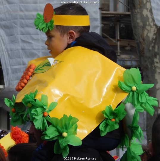"Carnival Time" in the South of France