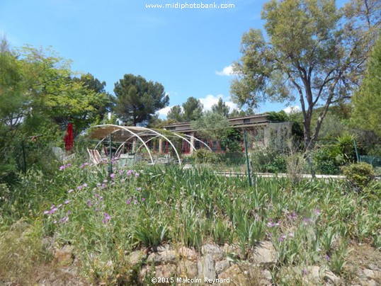 A Secret in a Valley in the Haut Languedoc