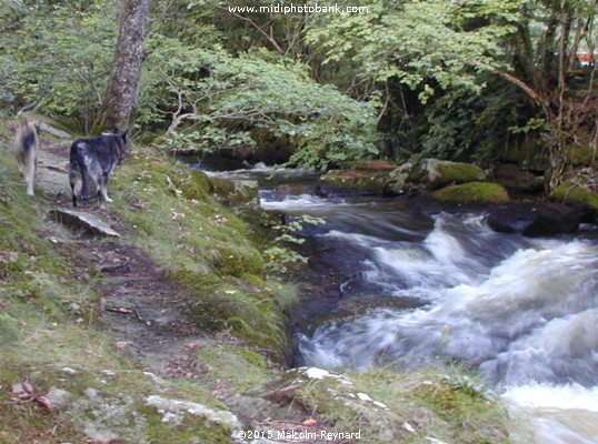 The Source of the Midi Canal