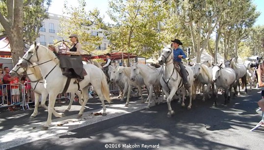 Féria de Béziers - 2016