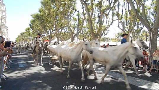 Féria de Béziers - 2016