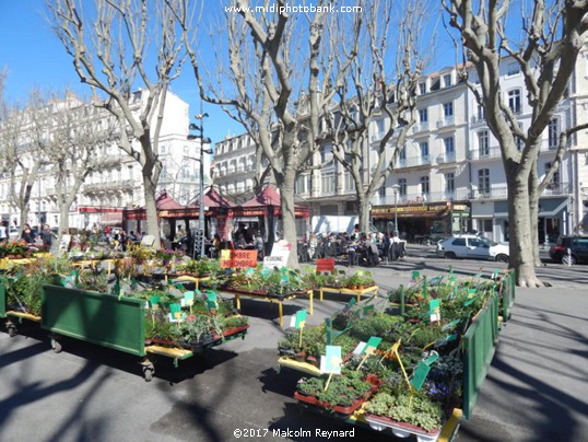 Sunny Béziers !