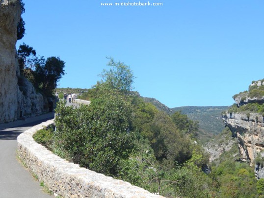 The Village of Minerve