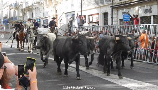 Feria de Béziers - 2017