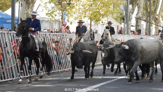 Feria de Béziers - 2017