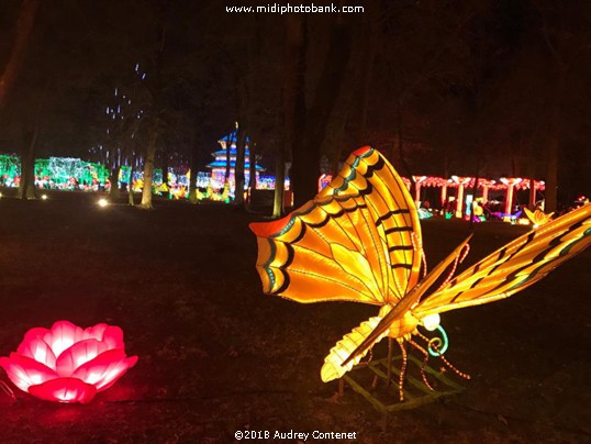 Gaillac - New Year 2018