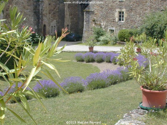 AVEYRON - Abbeye de Notre Dame de Bonnecombe