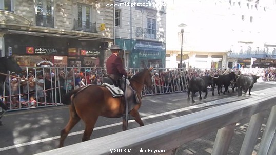 Béziers Feria 2018