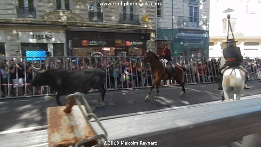 Béziers Feria 2018