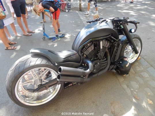 The Last of the Summer ..........