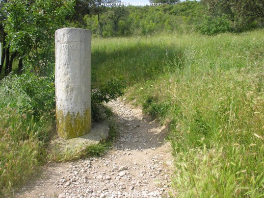 Via Domitia & The Oppidum d'Ambrussum.