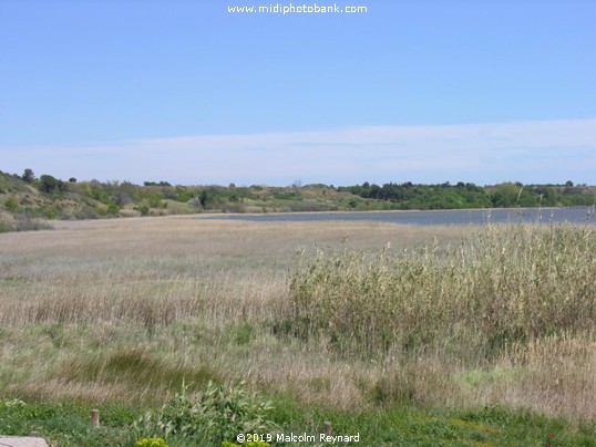 The "Temple of Venus" & l'Etang du Vendres