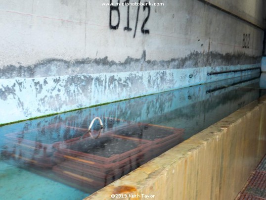 "Port du Chichoulet" - Vendres