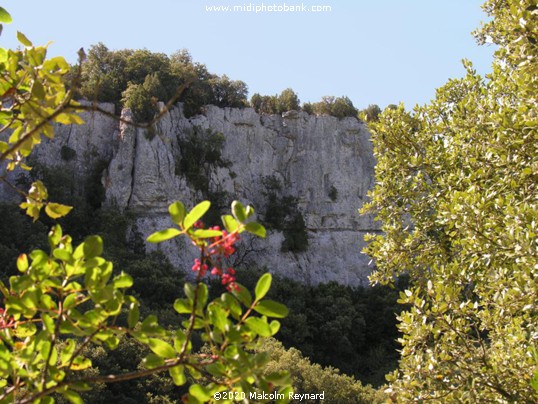 The Minervois Hills.....