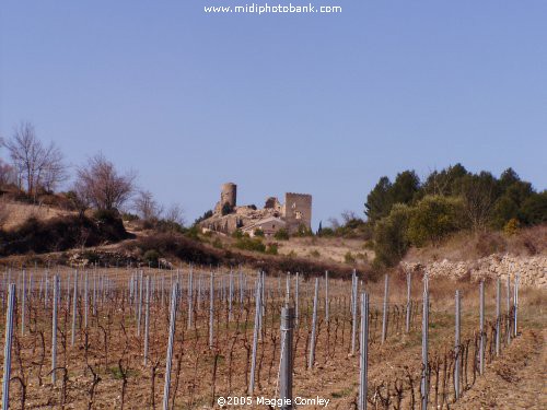 AUDE - Corbières